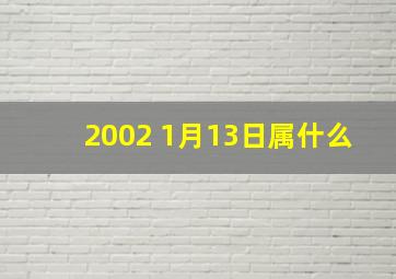 2002 1月13日属什么